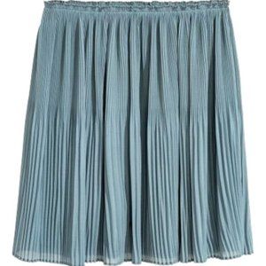 Pleated Skirt